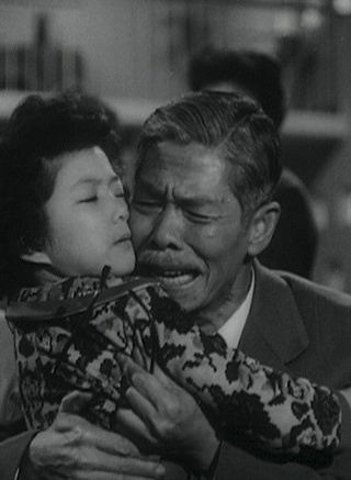 冯宝宝(演员)