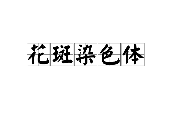 花斑染色体