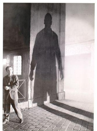 莉莉·汤姆林 莉莉·汤姆林