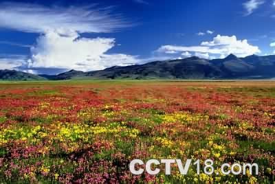 毛垭大草原 毛垭大草原