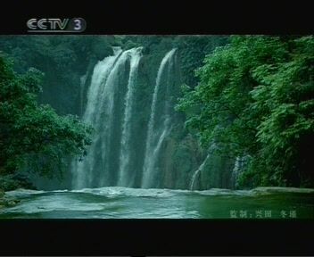 康美之恋 康美之恋