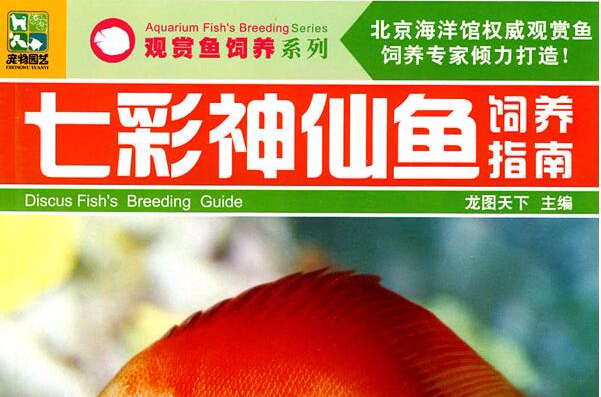 七彩神仙鱼饲养指南