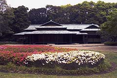 诹访の茶屋 诹访の茶屋