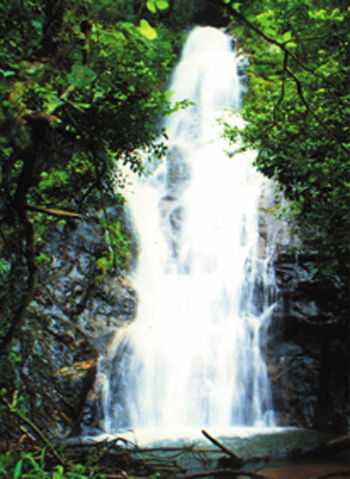 丫山龙山瀑布群 丫山龙山瀑布群
