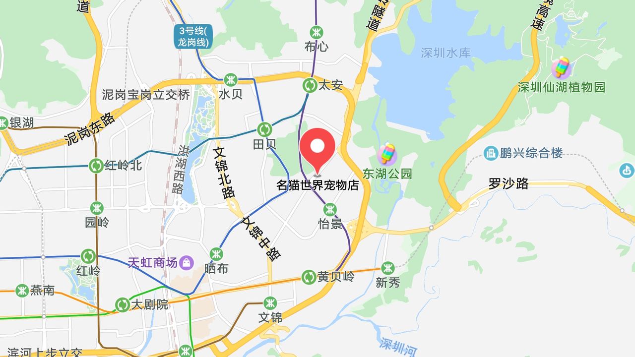 地图信息