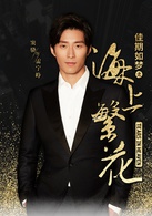 佳期如梦之海上繁花(海上繁花（2016年拍摄电视剧）)