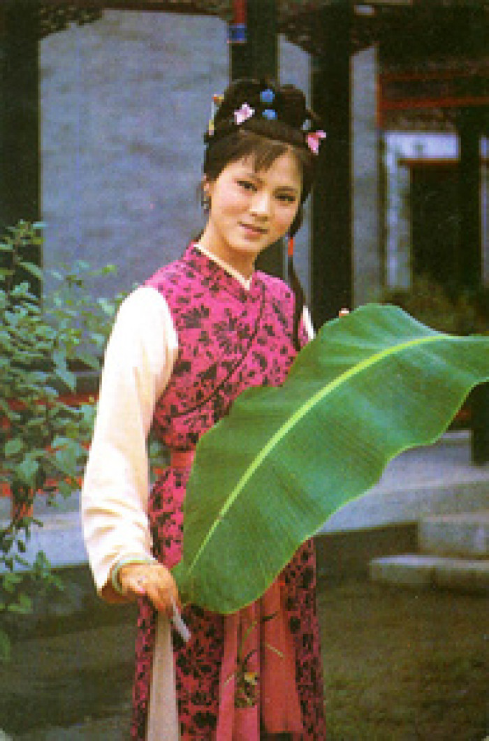 袁玫(黄梅戏演员) 袁玫(黄梅戏演员)