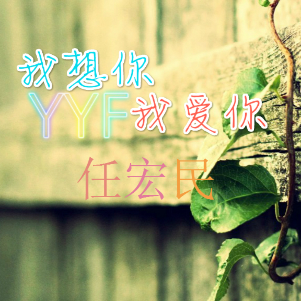 我想你我爱你