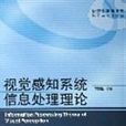 视觉感知系统信息处理理论