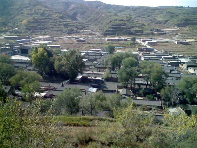 村子鸟瞰 村子鸟瞰