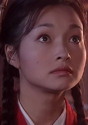 杨门女将之女儿当自强(杨门女将大破天门阵)