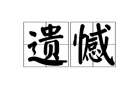 遗憾(汉语词语)
