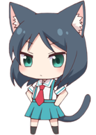 猫咪日常