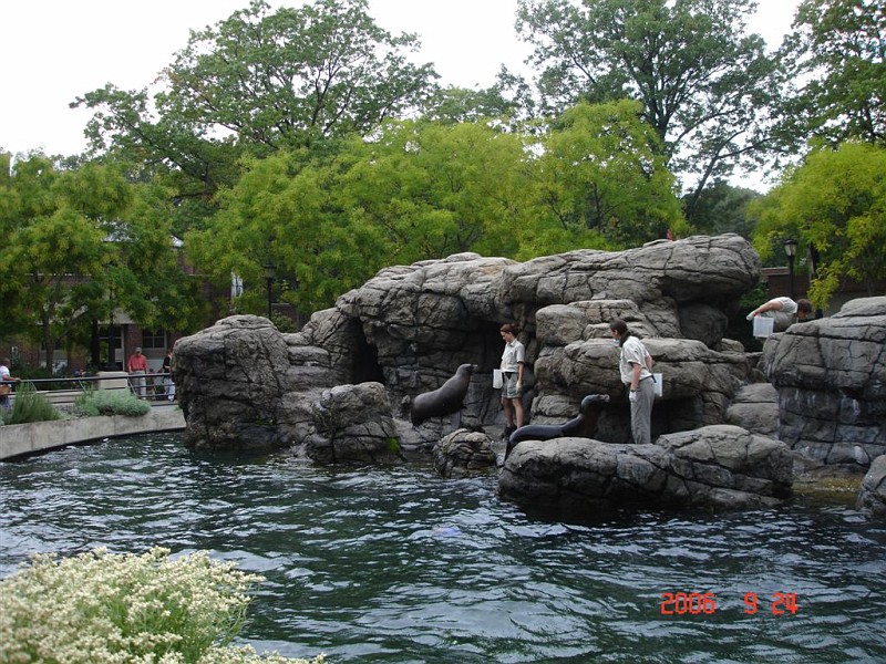 展望公园动物园海狮池