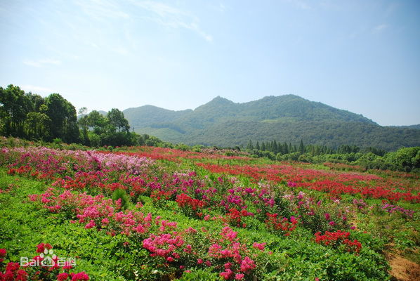 太子山(湖北太子山) 太子山(湖北太子山)