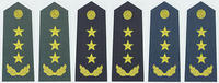 陆军上将常服肩章(2007—) 陆军上将常服肩章(2007—)