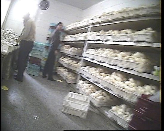 每天有三万个高庄馒头进入上海华联等超市 每天有三万个高庄馒头进入上海华联等超市