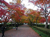 栃木県那须塩原市大山巌墓所道路 栃木県那须塩原市大山巌墓所道路