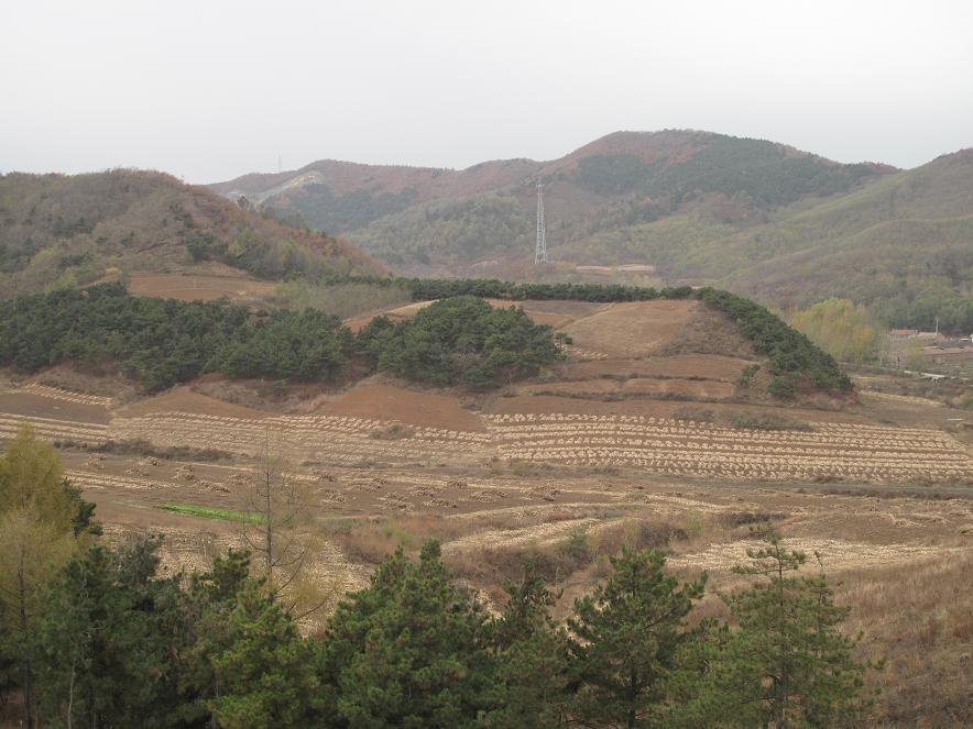 本溪校区2 本溪校区2
