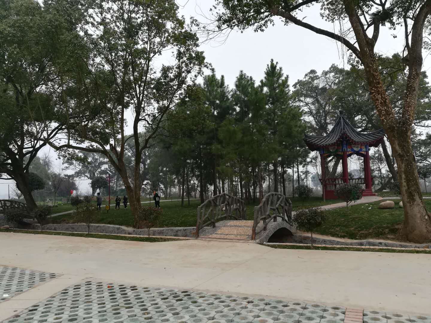 竹山村 竹山村