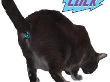 twinkle tush twinkle tush