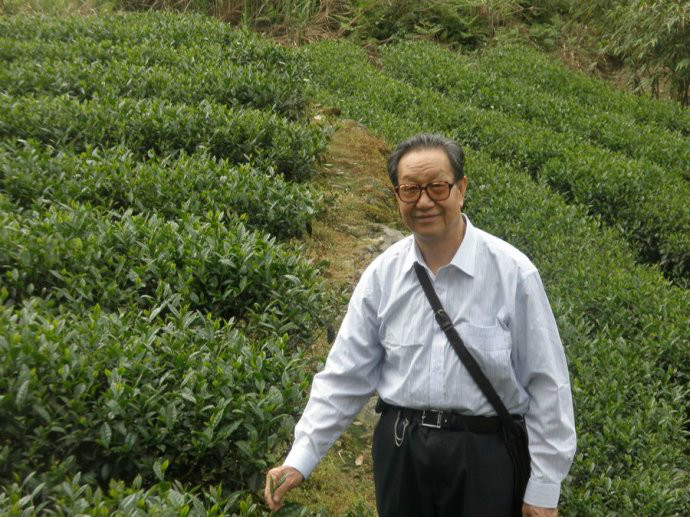 于观亭调研茶山 于观亭调研茶山
