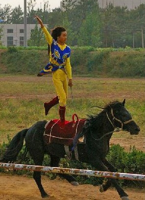 马戏游乐园 马戏游乐园