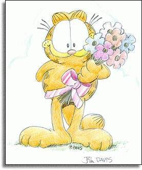 加菲猫 加菲猫