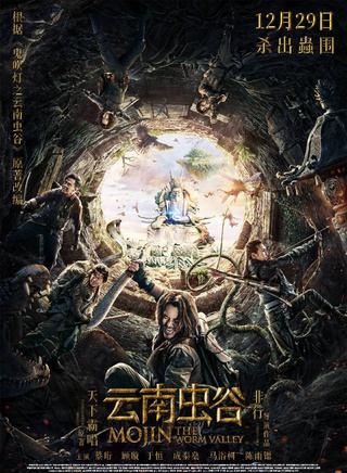 顾璇