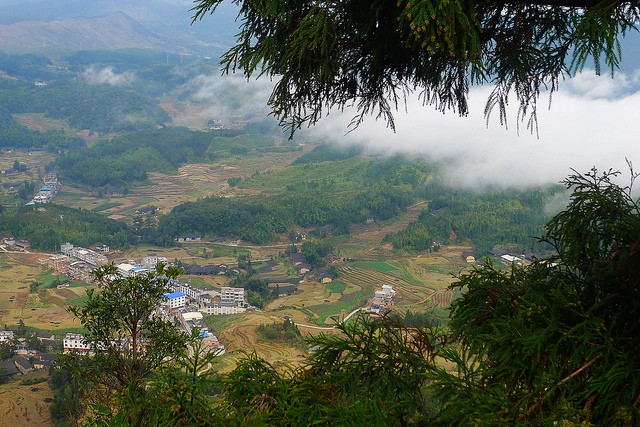 后井村(福建省闽侯县大湖乡下辖村)