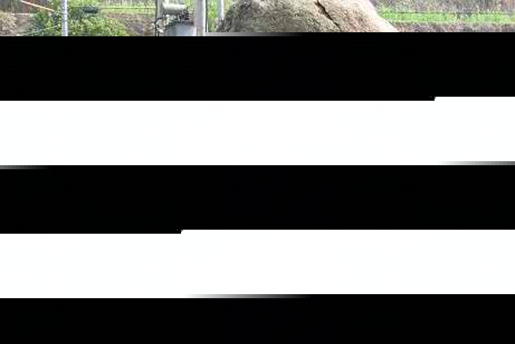 枫林村(江西省乐平市涌山镇枫林村)