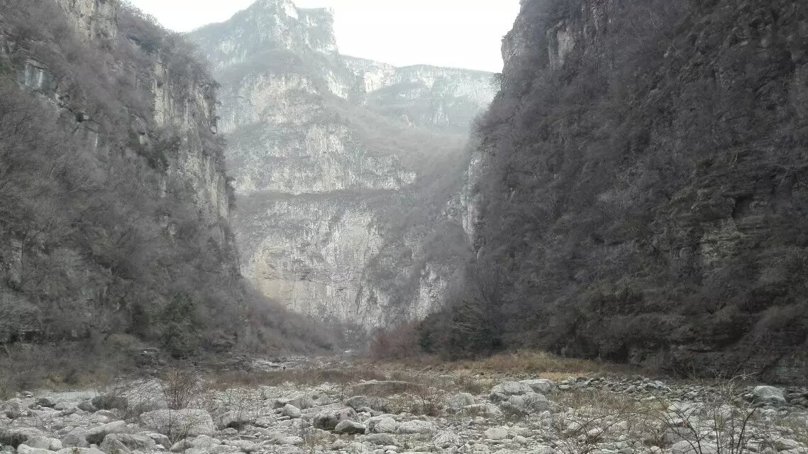 红豆杉大峡谷 红豆杉大峡谷