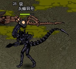 兵蜂异形