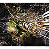 单曲碟《New World》封面 单曲碟《New World》封面