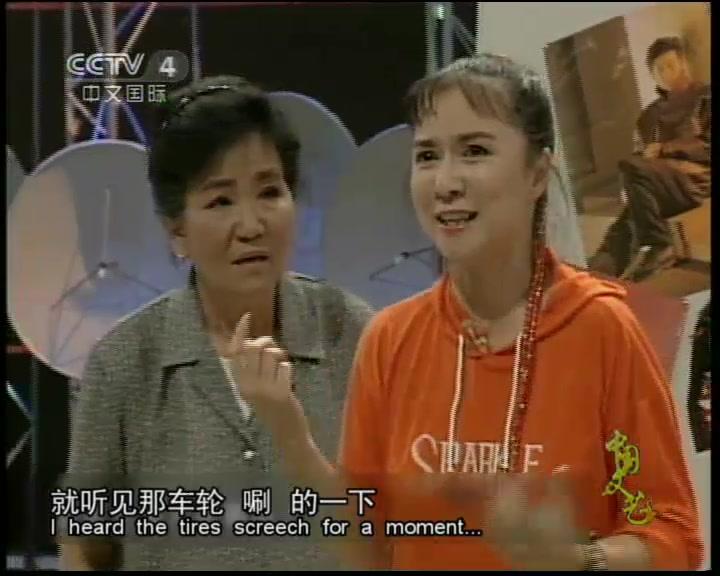 追星族(央视4套版) 追星族(央视4套版)