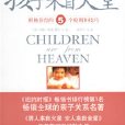 孩子来自天堂