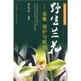 野生兰花