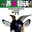 养羊秘诀