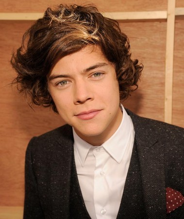 哈里·斯泰尔斯（Harry Styles）