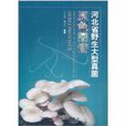 河北省野生大型真菌原色图谱