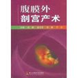 腹膜外剖宫产术(第二军医大学出版社出版图书)