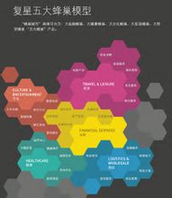 复星地产的五大蜂巢 复星地产的五大蜂巢