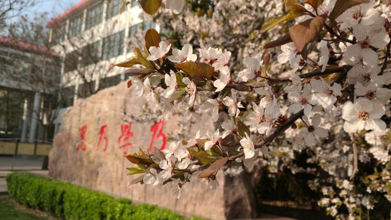 安阳市曙光学校 安阳市曙光学校