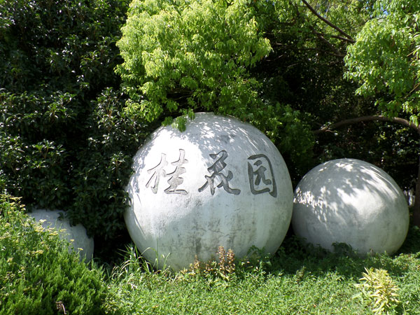 桂花园 桂花园