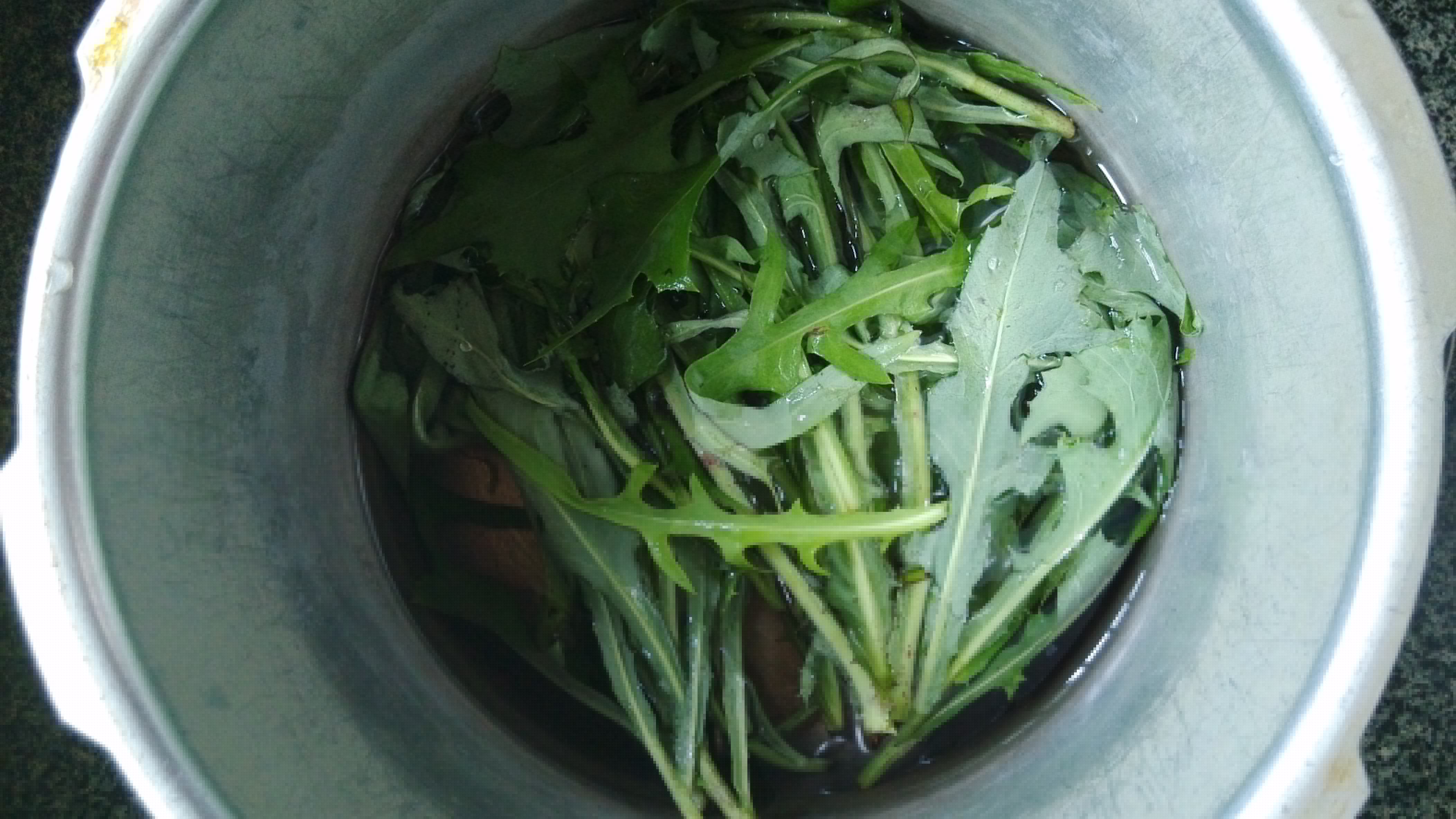 蒲公英决明子茶