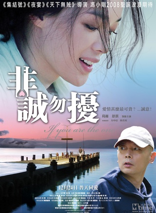 徐若瑄(vivian（徐若瑄的英文名）)