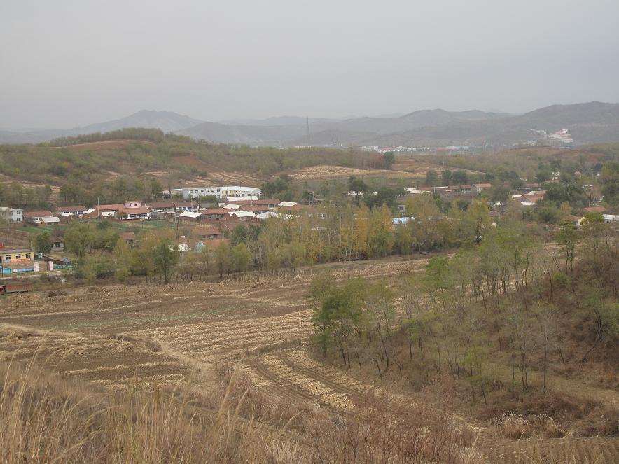 校区 校区
