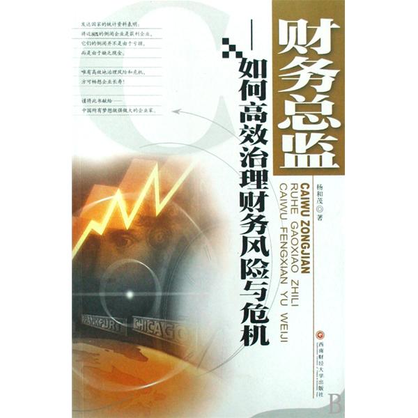 财务总监：高效治理财务风险与危机