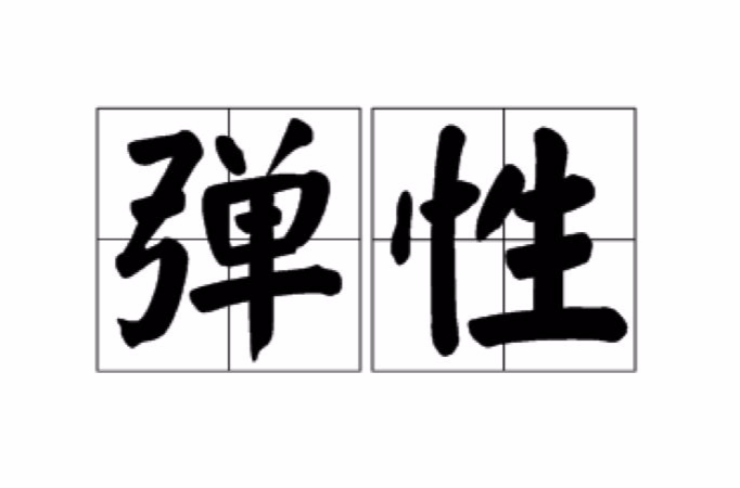 弹性(汉语词语)