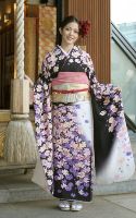 岩佐真悠子 岩佐真悠子